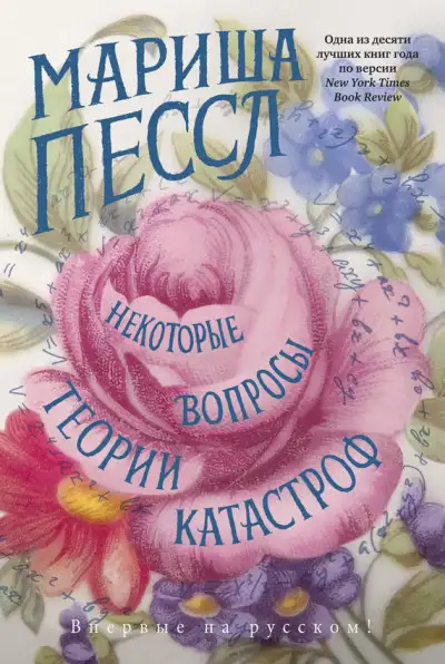 Обложка книги Некоторые вопросы теории катастроф