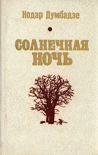 Обложка книги Солнечная ночь