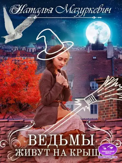 Обложка книги Ведьмы живут на крыше