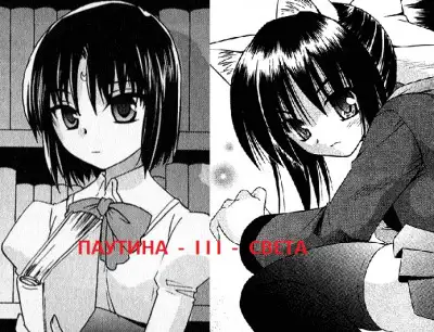 Обложка книги Паутина Света. Книга 3