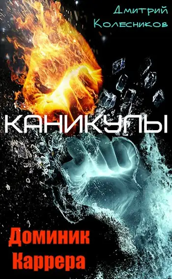 Обложка книги Каникулы