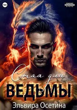 Обложка книги Стая для ведьмы