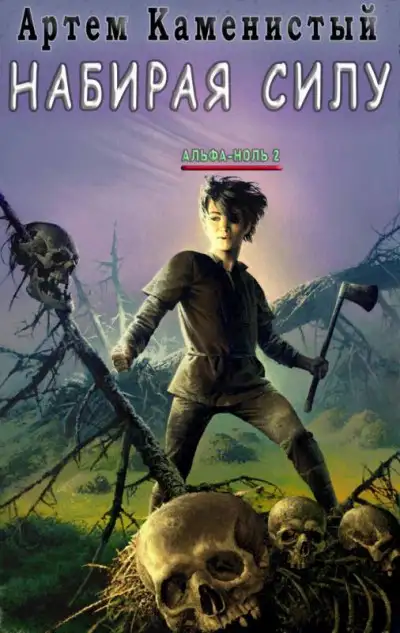 Обложка книги Набирая силу