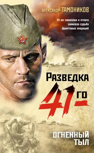 Обложка книги Огненный тыл