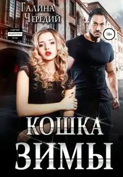 Обложка книги Кошка Зимы