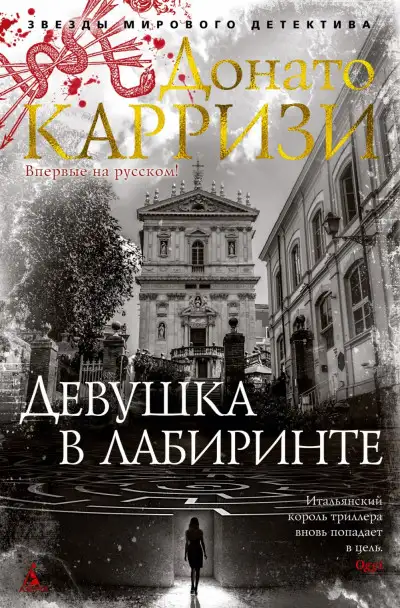 Обложка книги Девушка в лабиринте. Мила Васкес 03