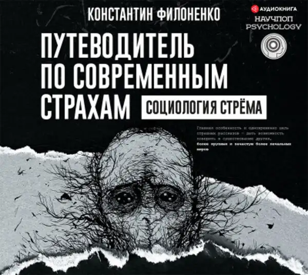Обложка книги Путеводитель по современным страхам. Социология стрема