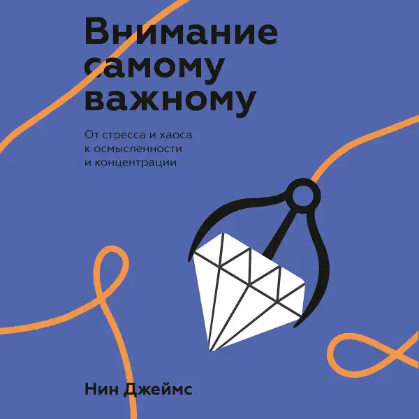 Обложка книги Внимание самому важному