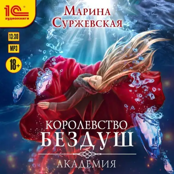Обложка книги Королевство Бездуш. Академия