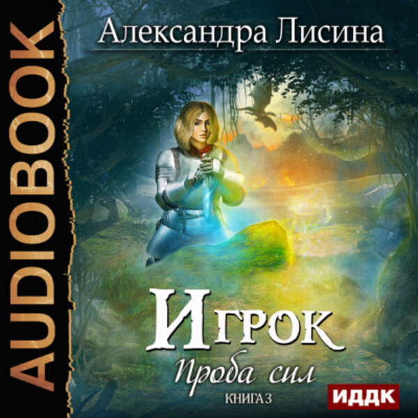 Обложка книги Игрок. Книга 3. Проба сил