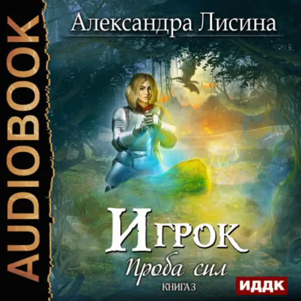 Обложка книги Игрок. Книга 3. Проба сил