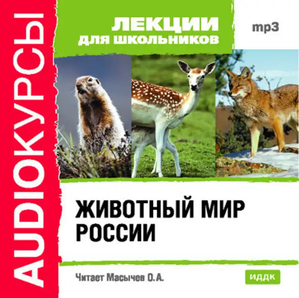 Обложка книги Животный мир России