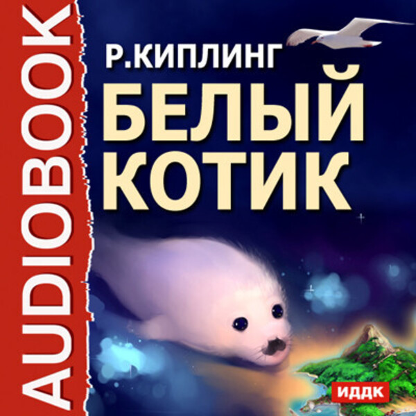 Обложка книги Белый котик