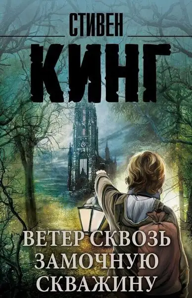 Обложка книги Ветер сквозь замочную скважину (Темная Башня 4.5)