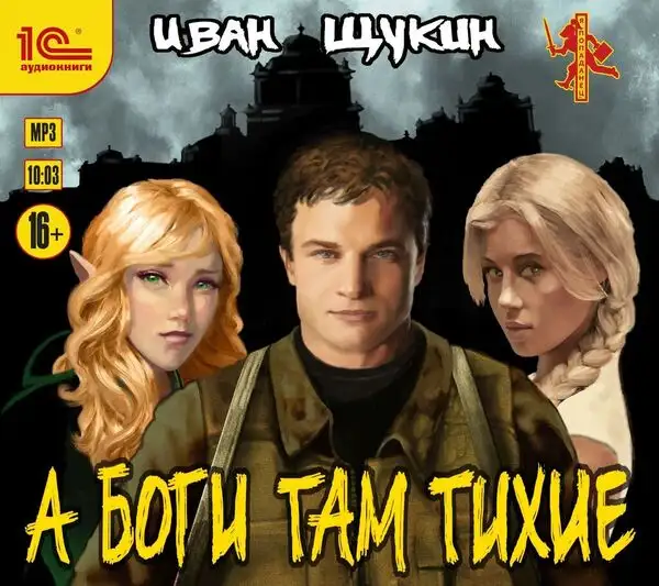 Обложка книги А боги там тихие