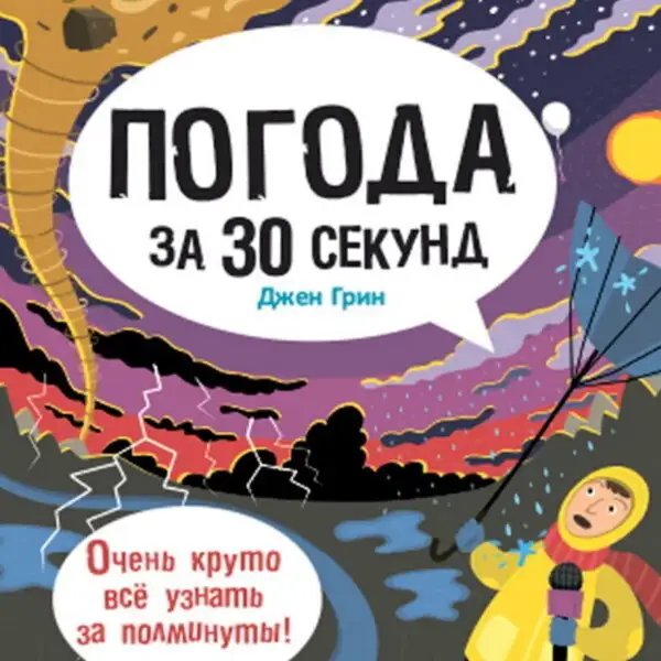 Обложка книги Погода за 30 секунд
