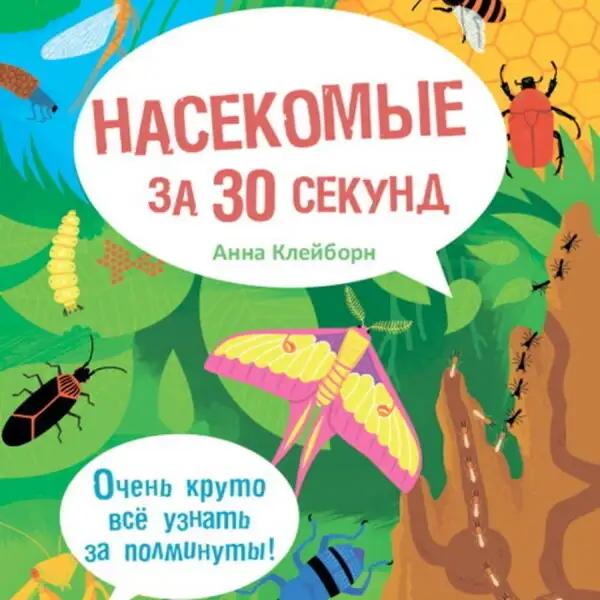 Обложка книги Насекомые за 30 секунд