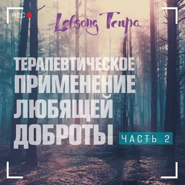 Обложка книги Терапевтическое применение любящей доброты. Часть 2