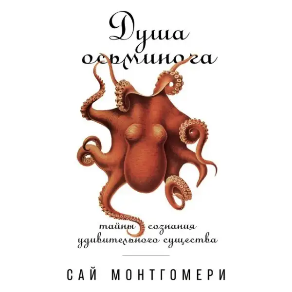 Обложка книги Душа осьминога