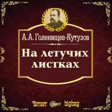 Обложка книги На летучих листках