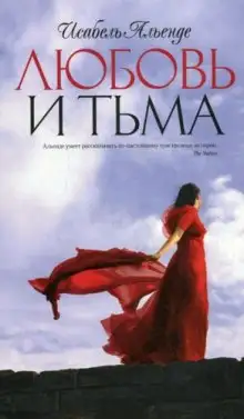 Обложка книги Любовь и тьма