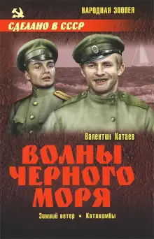 Обложка книги Зимний ветер