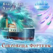 Обложка книги Сокровища "Фортуны"