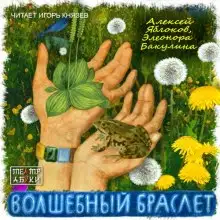 Обложка книги Волшебный браслет