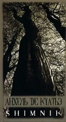 Обложка книги Схимник