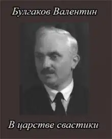 Обложка книги В царстве свастики