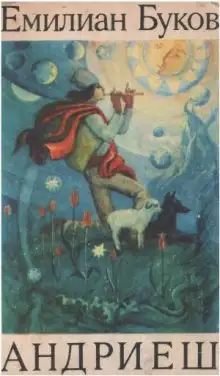 Обложка книги Андриеш