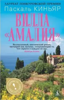 Обложка книги Вилла Амалия