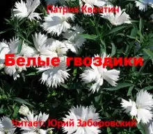 Обложка книги Белые гвоздики