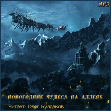 Обложка книги Темные аллеи - Новогодние чудеса на аллеях