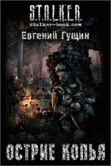 Обложка книги S.T.A.L.K.E.R. Острие копья