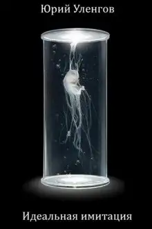 Обложка книги Идеальная имитация