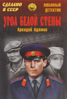 Обложка книги Угол белой стены