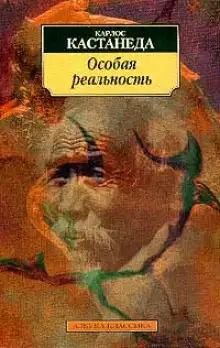 Обложка книги Особая реальность. Новые беседы с доном Хуаном