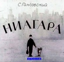 Обложка книги Ниагара