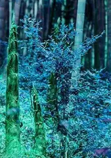 Обложка книги Отец-двойник