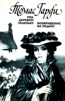 Обложка книги Возвращение на родину