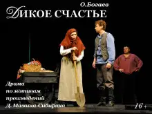 Обложка книги Дикое счастье