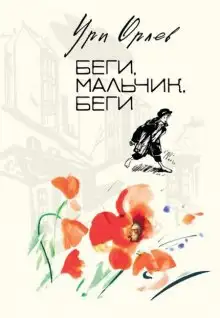 Обложка книги Беги, мальчик, беги