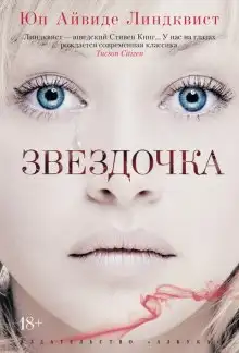 Обложка книги Звездочка
