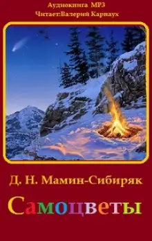 Обложка книги Самоцветы