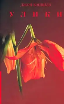 Обложка книги Улики