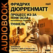 Обложка книги Процесс из-за тени осла. Туннель