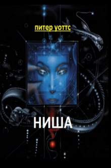 Обложка книги Ниша