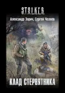 Обложка книги S.T.A.L.K.E.R. Клад стервятника