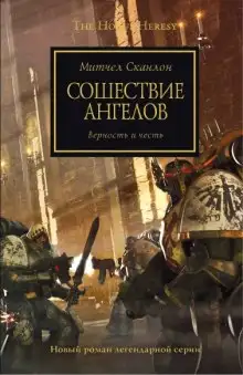 Обложка книги Сошествие ангелов